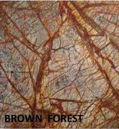 Brown forest